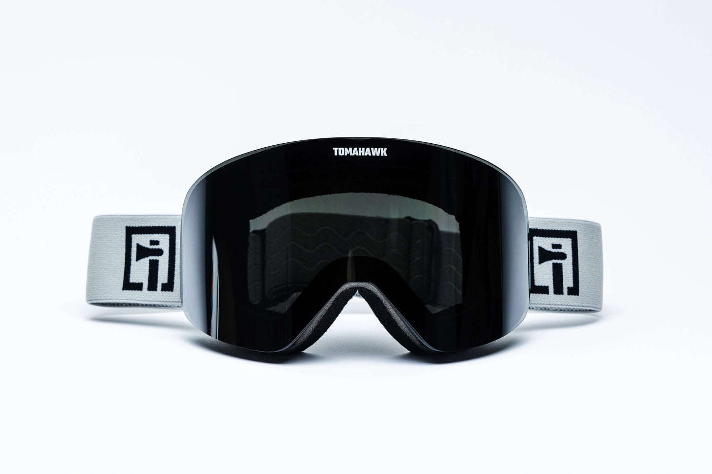 Vista X1 Snow Goggles