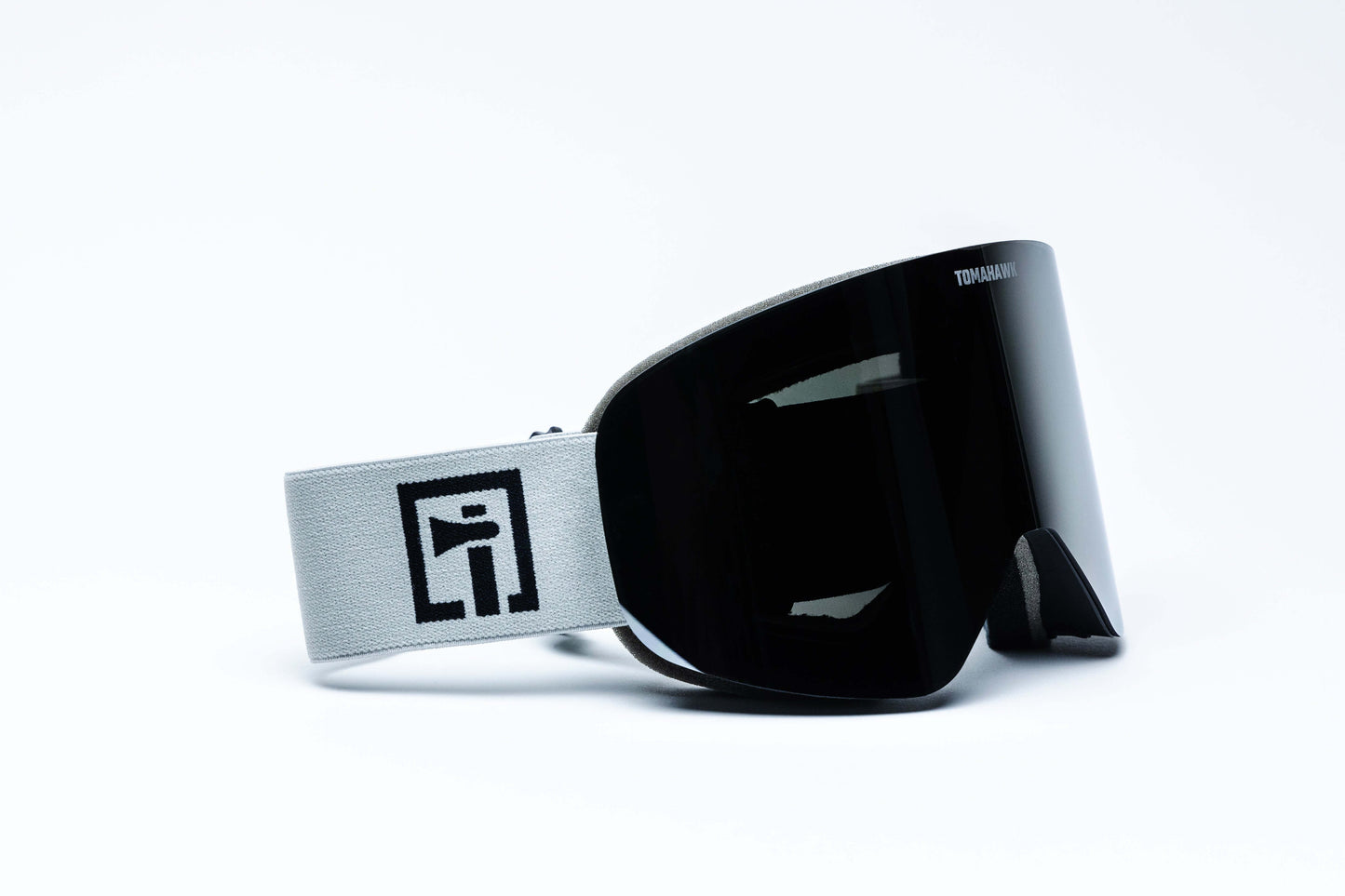 Vista X1 Snow Goggles
